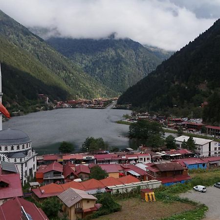 Cakiroglu Villa Kent Uzungöl Eksteriør bilde