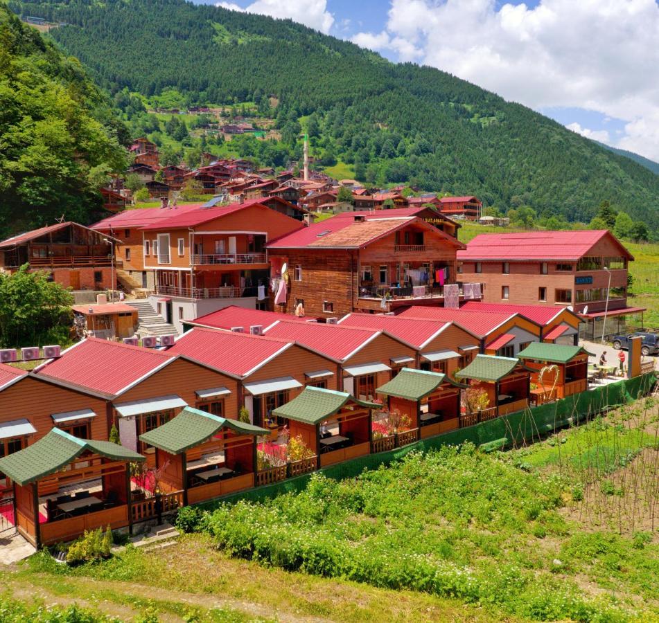 Cakiroglu Villa Kent Uzungöl Eksteriør bilde